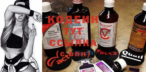 метадон Сафоново