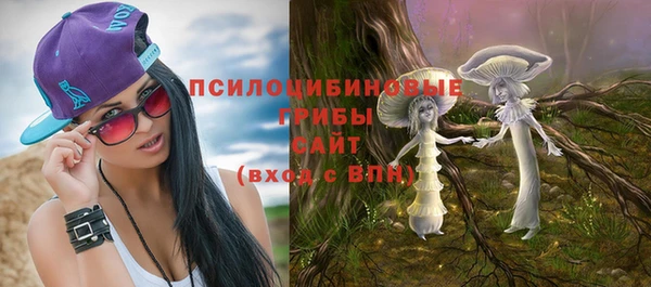 ПСИЛОЦИБИНОВЫЕ ГРИБЫ Сатка