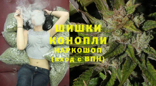 ГАЛЛЮЦИНОГЕННЫЕ ГРИБЫ Саяногорск