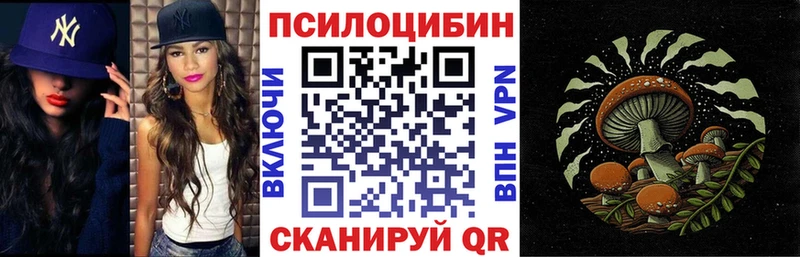 Псилоцибиновые грибы Psilocybe  Лодейное Поле 